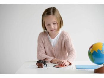 Montessori materiali – Živali in kontinenti