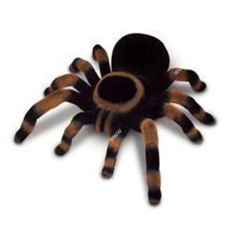 Tarantela-pajek na daljinsko vodenje