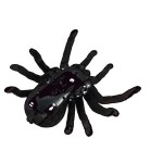 Tarantela-pajek na daljinsko vodenje