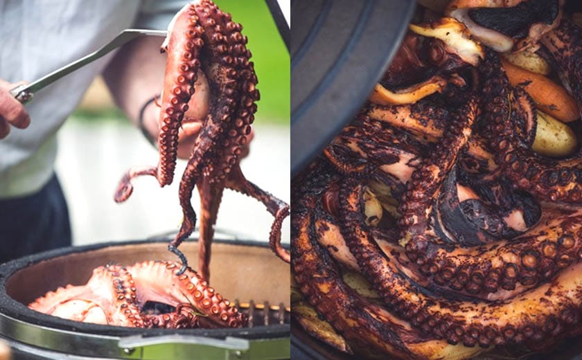 hobotnica na žaru je zelo okusna in sočna