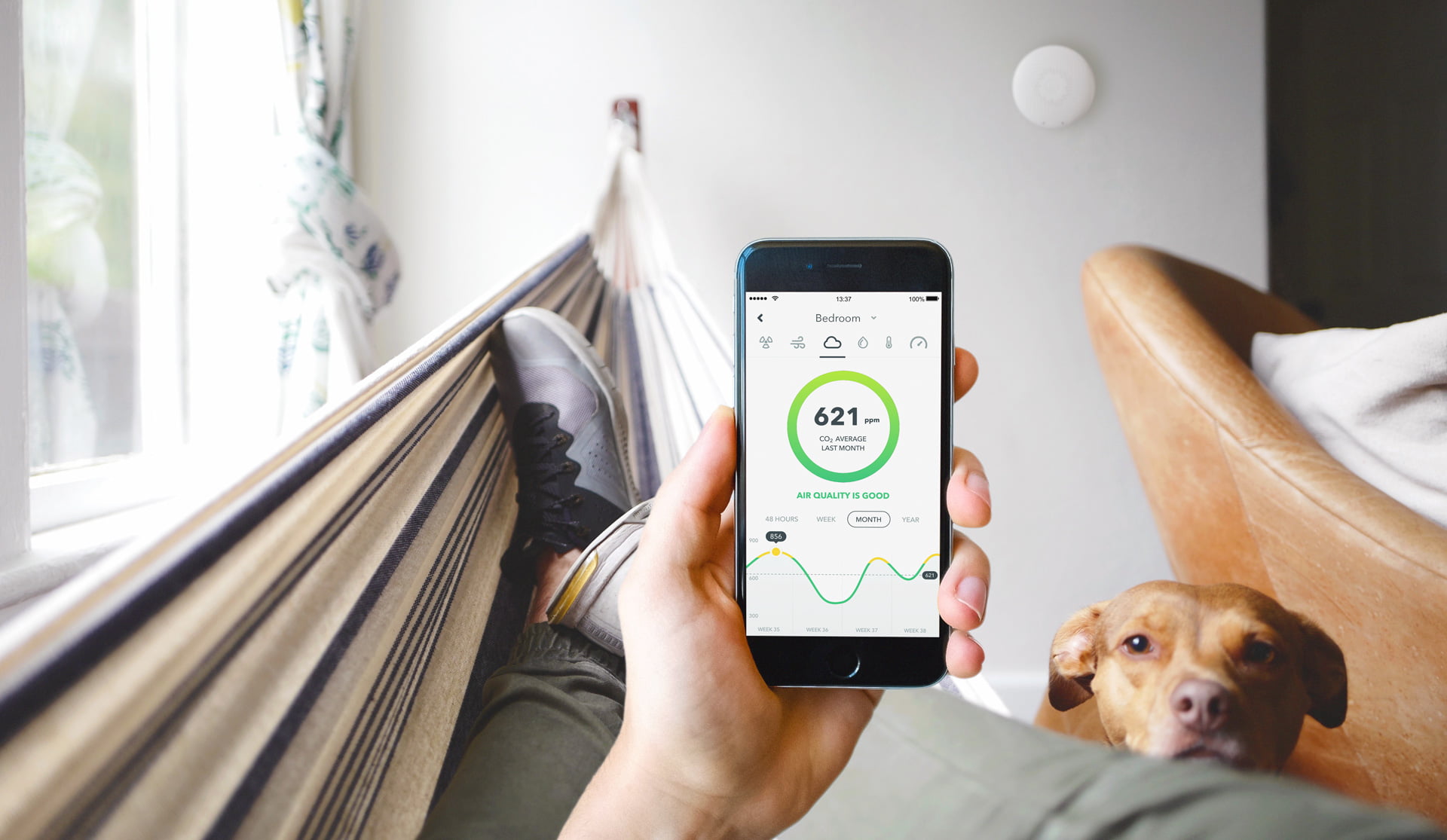 Spremljanje kakovosti zraka z Airthings aplikacijo airthings, kakovost zraka, spremljanje v aplikaciji, aplikacija, dom, čist zrak, merilec zraka