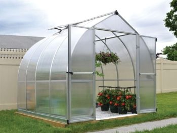 RASTLINJAK, VOTLE PLOŠČE PALRAM BELLA 8X8 V244 X D240 X V219