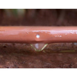 VITAVIA RWK50 REZERVOAR Z DEŽEVNICO – predstavitvena slika