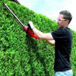 ELEK. ŠKARJE ZA ŽIVO MEJO EINHELL GH-EH 4245 420 W 45 CM – predstavitvena slika