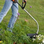 MOTORNA KOSA ECHO GT-222ES ENOROČAJNA – predstavitvena slika