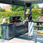 PLINSKI ŽAR HUDSON 4B ZA ZUNANJE KUHINJE EUROPA – predstavitvena slika