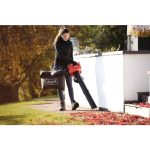 BENCIN. SESALNIK/PUHALNIK SCHEPPACH LBH2600P – predstavitvena slika
