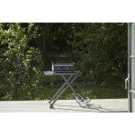 COZZE PLINSKI ŽAR G-400 PLANCHA (90523) – predstavitvena slika