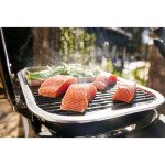 ELEKTRIČNI ŽAR WEBER LUMIN COMPACT S STOJALOM ČRN – predstavitvena slika