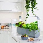 PAMETNI CVETLIČNI LONEC TREGREN T12 SIV KUHINJSKI VRTIČEK – predstavitvena slika