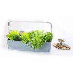 PAMETNI CVETLIČNI LONEC TREGREN T12 SIV KUHINJSKI VRTIČEK – predstavitvena slika