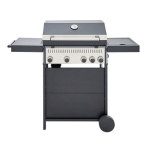 PLINSKI ŽAR C500 4+1G 125X49X104