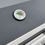 PLINSKI ŽAR C500 4+1G 125X49X104 – predstavitvena slika