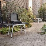 PLINSKI ŽAR WEBER SLATE GP 43 CM – predstavitvena slika