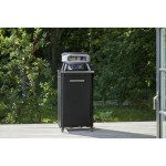 PEČ ZA PICO COZZE VRTLJIVA PLINSKA 13" (90440) PREMIUM – predstavitvena slika