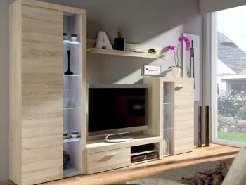 Dnevni regal RUBA 3 je moderno oblikovan in elegantnega videza. Dnevni regal je izdelan v EU. Dimenzije regala so: 270 cm x 190 cm x 42,5 cm Barva: - sonoma /