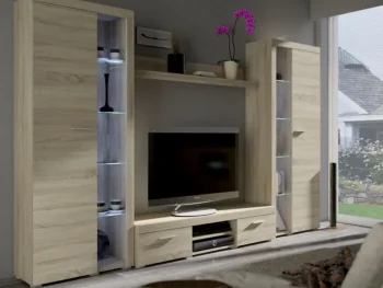 Dnevni regal RUBA 3 XL je moderno oblikovan in elegantnega videza. Dnevni regal je izdelan v EU. Dimenzije dnevnega regala so 300 cm x 190 cm x 40,2 cm