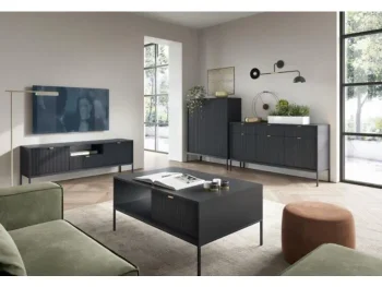 Dnevni regal SPIKA črna je eleganten in brezčasen predlog za moderne dnevne sobe. Zaradi svoje preproste oblike in vitke noge je vzdrževanje veliko lažje.