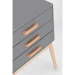 Predalnik ORDINARY 3C siva je eleganten kos pohištva, ki popestri vašo prostor. Noge so narejene iz borovega lesa z MDF ploščo. Predali so narejeni iz lesa