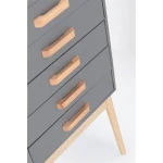 Predalnik ORDINARY 5C siva, je eleganten kos pohištva, ki popestri vaš prostor. Noge so narejene iz borovega lesa z MDF ploščo. Predali so narejeni iz