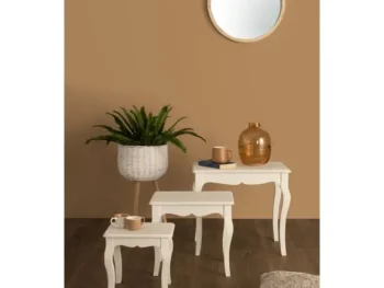 Set 3 klubskih mizic CLORINE v rustičnem slogu vas bo navdušil. Mizice so primerne tako za dnevno sobo, kot tudi dodatek v spalnici. Dobavljive so v beli