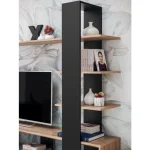 TV regal CEO - slika 13
