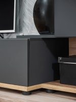 TV regal SALY ima modernost ter prostornost. Izjemen dizajn regala bo popoln za moderno ureditev. Odpira se brez ročajev ter zasteklitev je iz kaljenega
