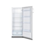 HLADILNIK GORENJE R4142PW – predstavitvena slika