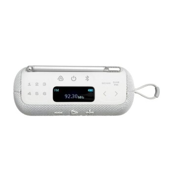PRENOSNI RADIO JBL TUNER 3 BEL