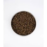 SUHA HRANA ZA MAČKE TRAMP FLY EXIGENT PREMIUM SUHA HRANA ZA IZBIRČNE MAČKE Z VISOKIMI PREHRANSKIMI ZAHTEVAMI, 15 KG – predsta
