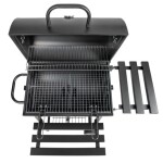 ŽAR NA OGLJE LIVOO DOC332 – predstavitvena slika