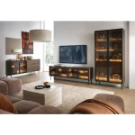 TV omarica LUMPI ni le osupljiva temveč tudi praktična. Elegantna barva naredi kolekcijo brezčasno in elegantno. Steklo na frontah daje pohištvu