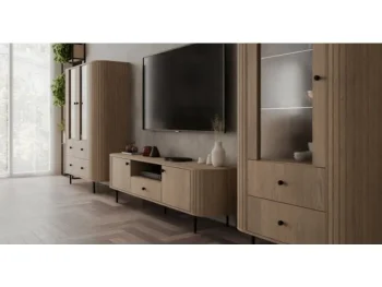 TV omarica OVARI 1, je moderen in eleganten kos pohištva. S svojo ovalno obliko se odlično poda v vsak prostor. Narejen je iz laminirane plošče debeline 16