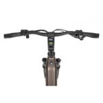 ELEKTRIČNO KOLO ECOBIKE LX300 900WH, L-19", ONYX – elektricno
