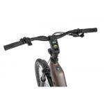 ELEKTRIČNO KOLO ECOBIKE LX300 900WH, L-19", ONYX – elektricno