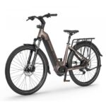 ELEKTRIČNO KOLO ECOBIKE LX300 900WH, L-19", ONYX – elektricno
