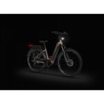 ELEKTRIČNO KOLO ECOBIKE LX300 900WH, L-19", ONYX – elektricno