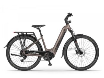ELEKTRIČNO KOLO ECOBIKE LX300 900WH, L-19", ONYX