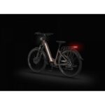 ELEKTRIČNO KOLO ECOBIKE LX300 900WH, L-19", ONYX – elektricno