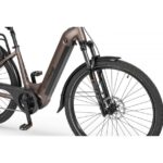 ELEKTRIČNO KOLO ECOBIKE LX300 900WH, L-19", ONYX – elektricno