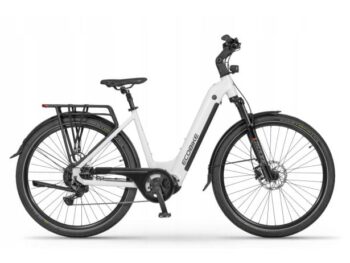 ELEKTRIČNO KOLO ECOBIKE LX300 900WH, M-17", WHITE