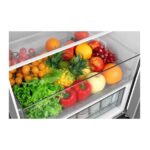 HLADILNIK IN ZAMRZOVALNIK TCL RP312BLE0. TOTAL NO FROST – dodatni pogled 2