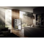 HLADILNIK LIEBHERR RBBSB525I – dodatni pogled 3