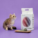 OPREMA ZA MAČKE PETKIT MIXED CAT LITTER 5V1 KOMPLET STELJE PESKA