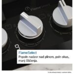 PLINSKA KUHALNA PLOŠČA BOSCH PCP6A5I90 – plosca