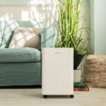 RAZVLAŽILNIK ZRAKA CECOTEC BIGDRY 8000 EXPERT CONNECTED – razvlazilnik