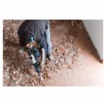 RUŠILNO ELEKTRIČNO KLADIVO BOSCH GSH 7 VC – BOSCH PROFESSIONAL – rusilno elektricno