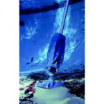SESALNIK ZA BAZEN PLANET POOL SESALEC MAX POOL BLASTER – dodatni pogled 2