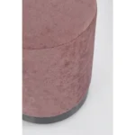 Tabure ERNESTINE roza ima strukturo iz MDF-ja, podnožje je v barvi kovine. Prevleka je iz poliestra, ki daja ubčutek žameta. Material: - Poliester - MDF