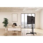 TV NOSILEC / VOZIČEK MANHATTAN 94-178 CM 50 KG – vozicek